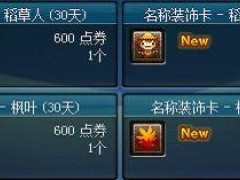 全新名称装饰卡上线公告