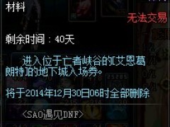 DNF玩转SAO塔拿异界套装
