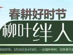 DNF温暖的柳叶有什么用